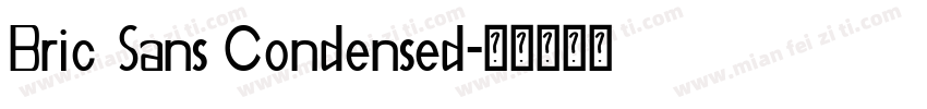 Bric Sans Condensed字体转换